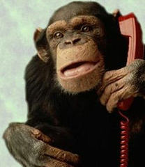 monkeyphone.jpg